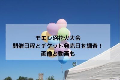 モエレ沼花火大会2024開催日程とチケット発売日を調査！画像と動画も | 札幌東区なび