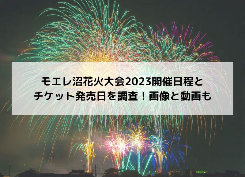 モエレ沼芸術花火2023 特別入場券 1枚 通販